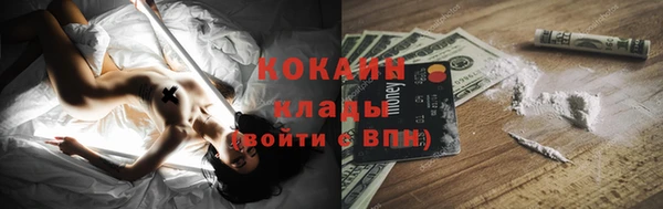крисы Алексин