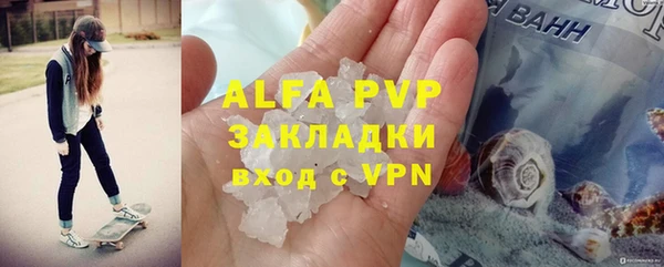 крисы Алексин