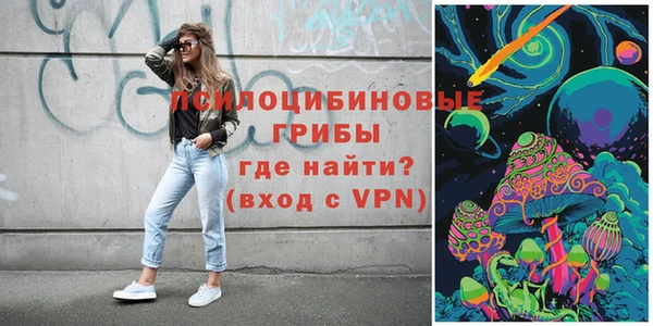 шишки Алзамай