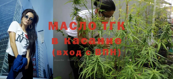крисы Алексин