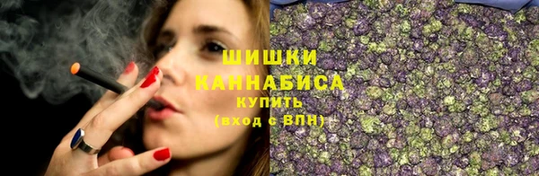 шишки Алзамай